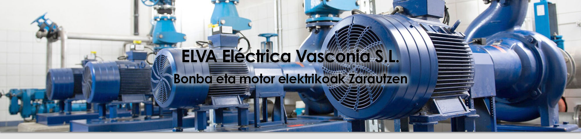 Elva Electrica Gipuzkoa - Bombas y Motores en Zarautz
